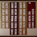 IMG_8546b IMG_8546b