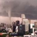 MIAMI TORNADO MIAMI TORNADO